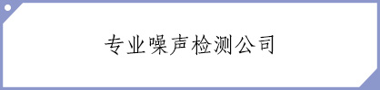 类目：噪声检测公司